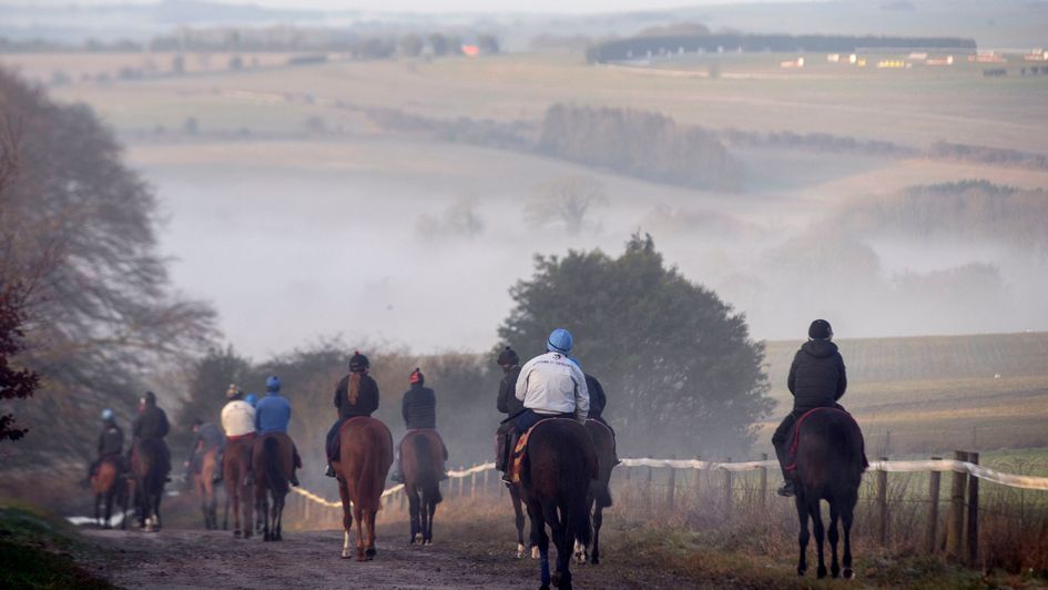 Horses return from the gallops in Lambourn