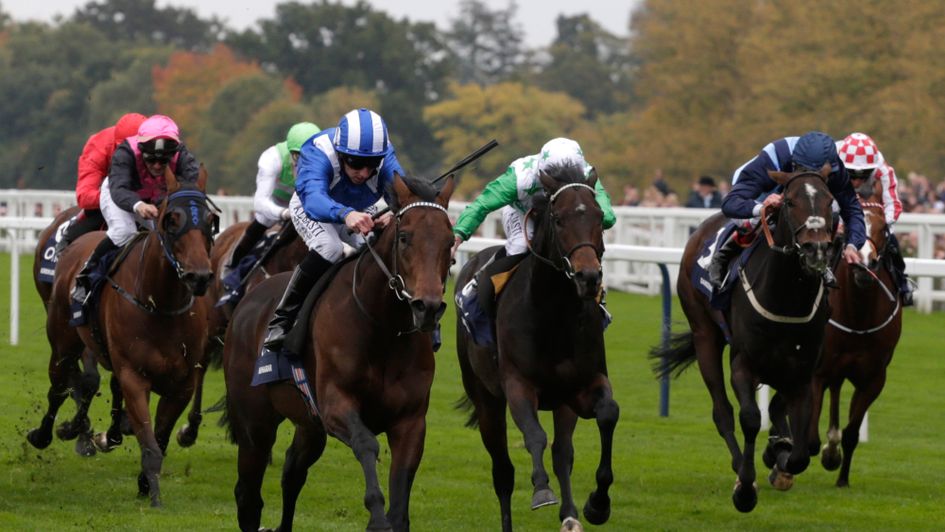 Muhaarar was exceptional in his final race, the Champion Sprint