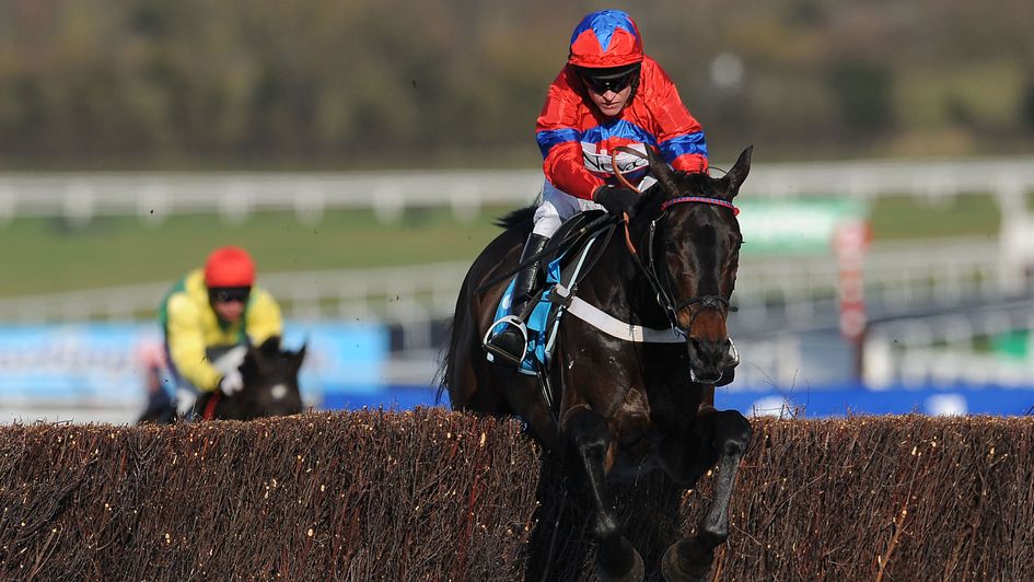 Sprinter Sacre is stunning in the Champion Chase