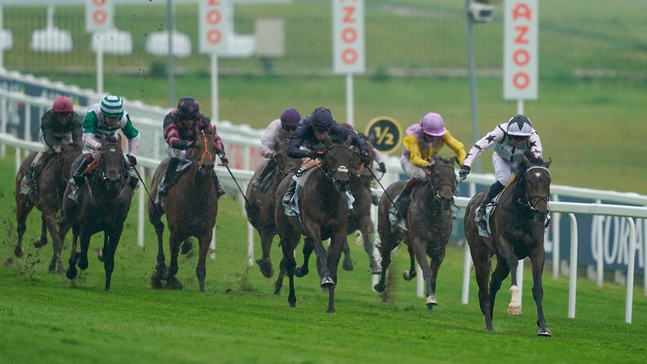 Oscula leads them home in the Woodcote Stakes