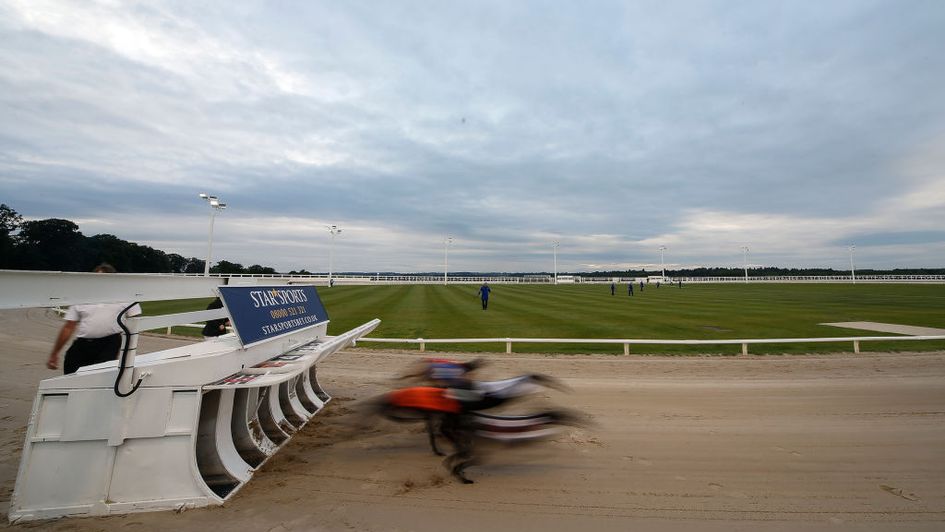 Action from last year's Greyhound Derby - who will reign at Nottingham this time?