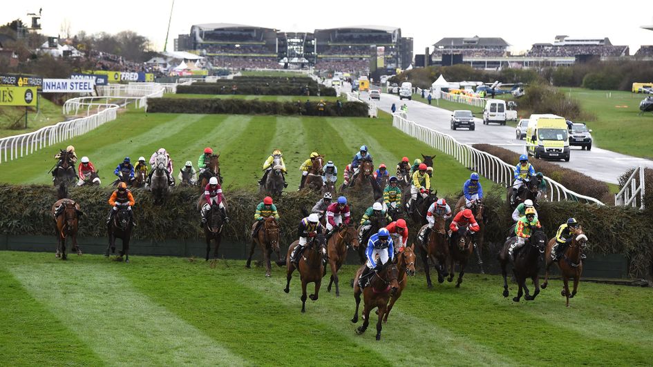The Virtual Grand National will be staged on Saturday