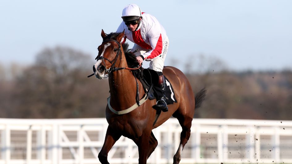 Goshen - all roads lead to Champion Hurdle next year