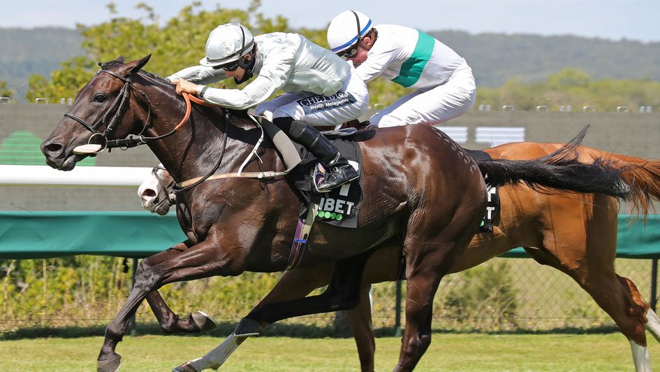 Hochfeld is on top at Goodwood