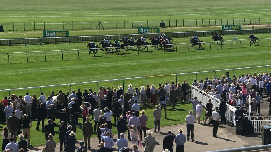 The field for the Wood Ditton race on the Rowley Mile
