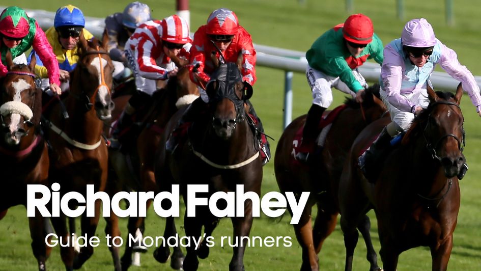 Check out the trainer's latest thoughts on his runners