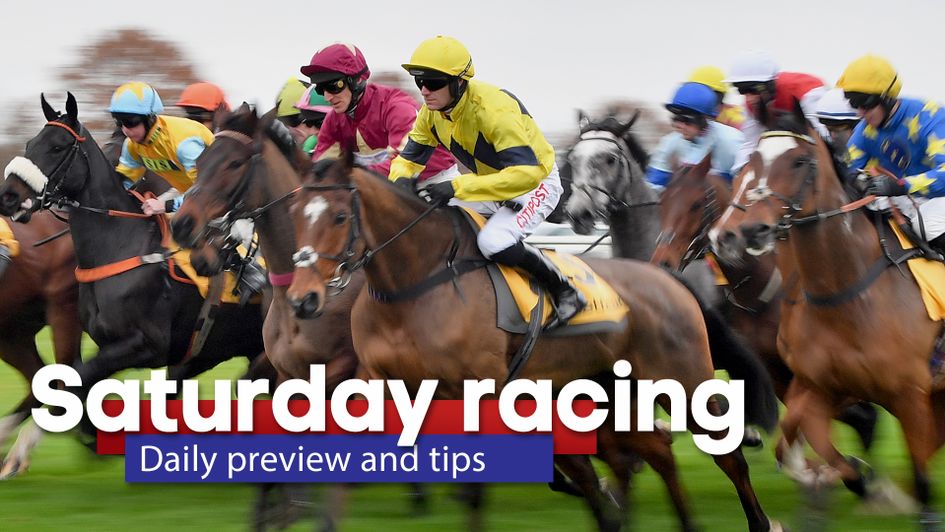 Check out Saturday's racing tips