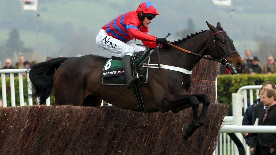The Arkle is one-way traffic as Sprinter Sacre clears the last