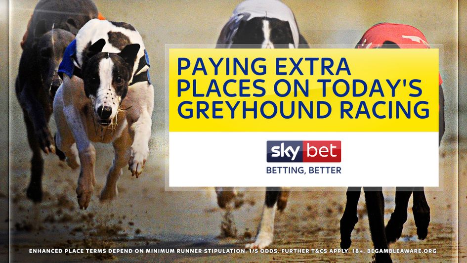Sky Bet's latest extra places Greyhounds offer