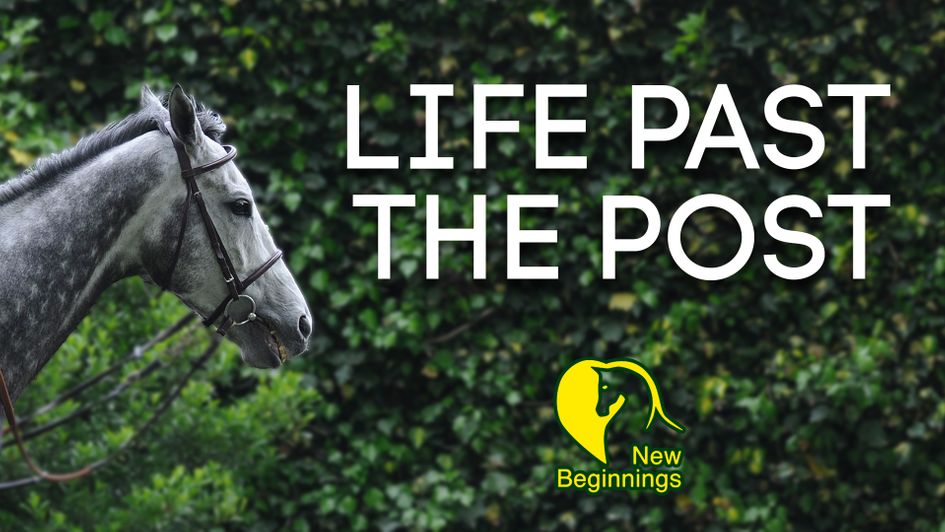What happens to former Racehorses in the UK?