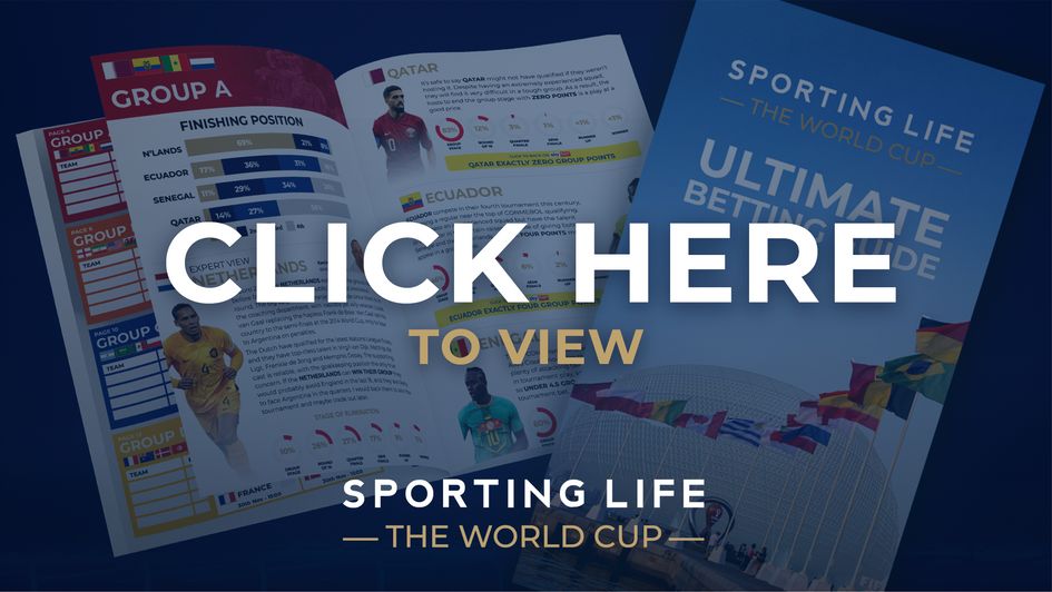 DELETE CAPTION World Cup guide download/view button