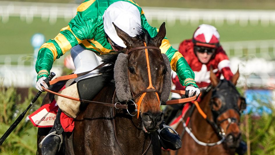 Tiger Roll gives chase to Easyland at Cheltenham