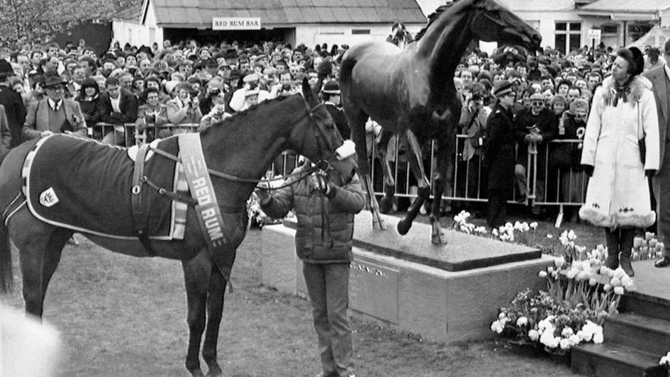 Red Rum takes a look at his own statue
