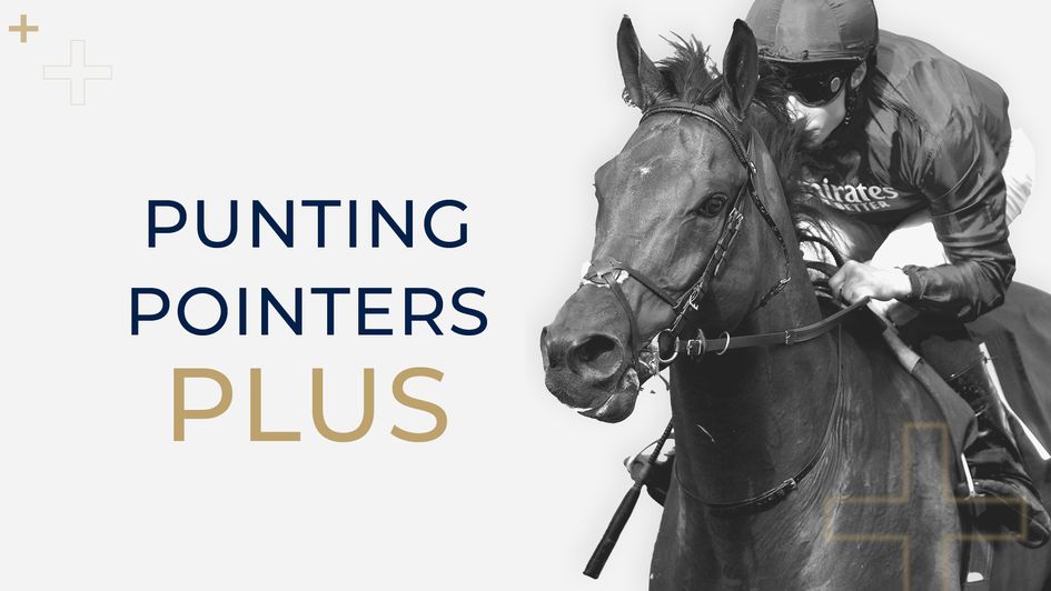 Punting Pointers Plus