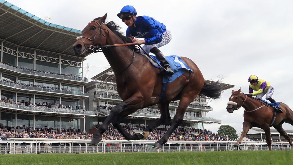 Harry Angel returns in style at York