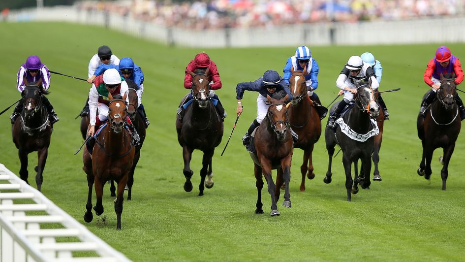 Without Parole wins the St James's Palace Stakes