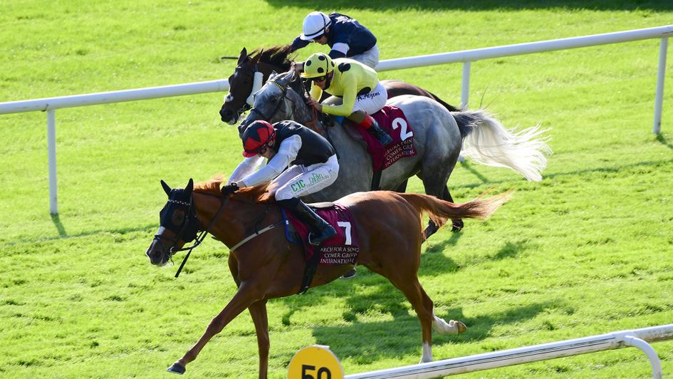 Search For A Song doubles up at the Curragh