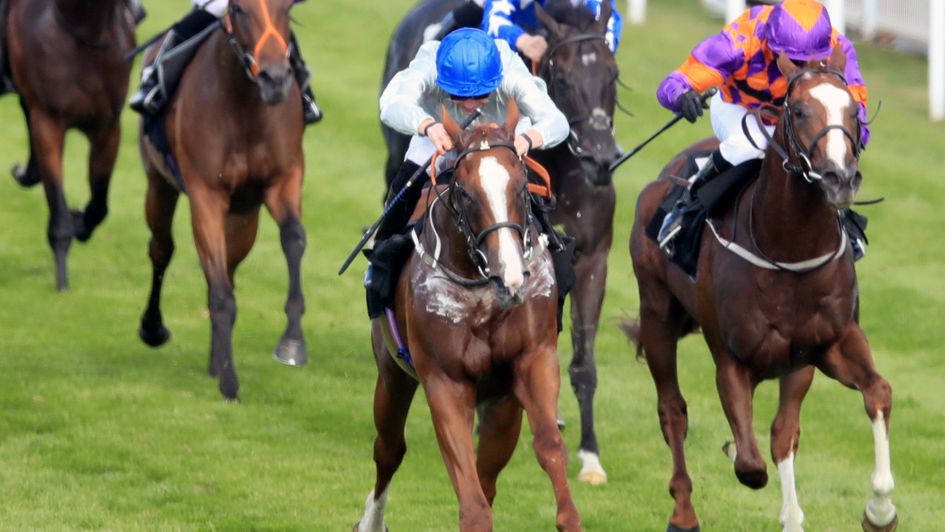 Can Homespin go back to back at Glorious Goodwood?