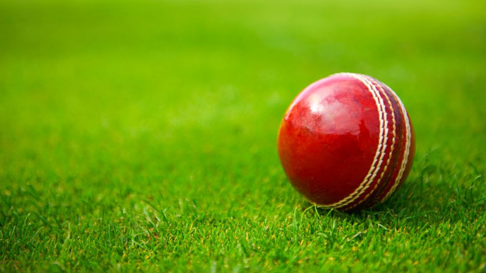 Cricket ball shining could be set for change