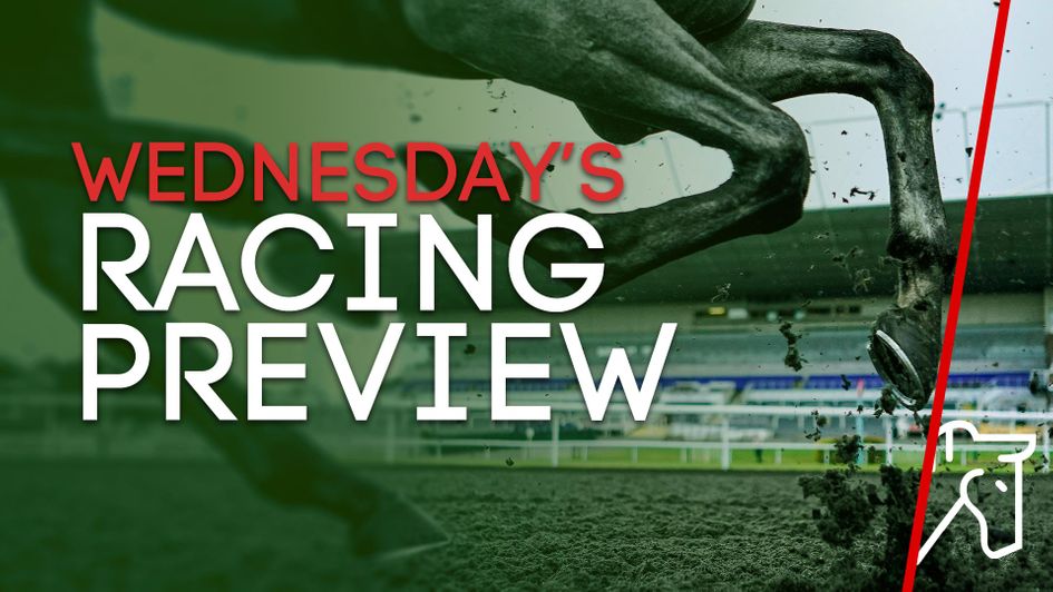 Check out our race-by-race tips and preview for Wednesday's action