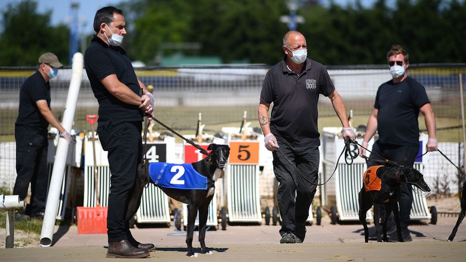 Jonathan Hobbs casts his eye over the latest developments in the greyhounds world