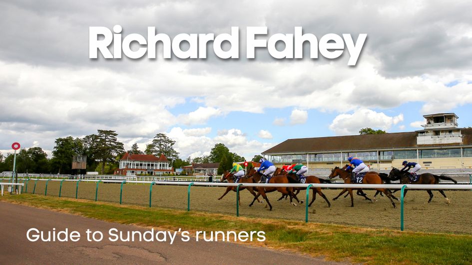 Check out Richard Fahey's latest thoughts