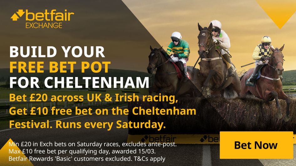 Build Your Free Pot For Cheltenham offer