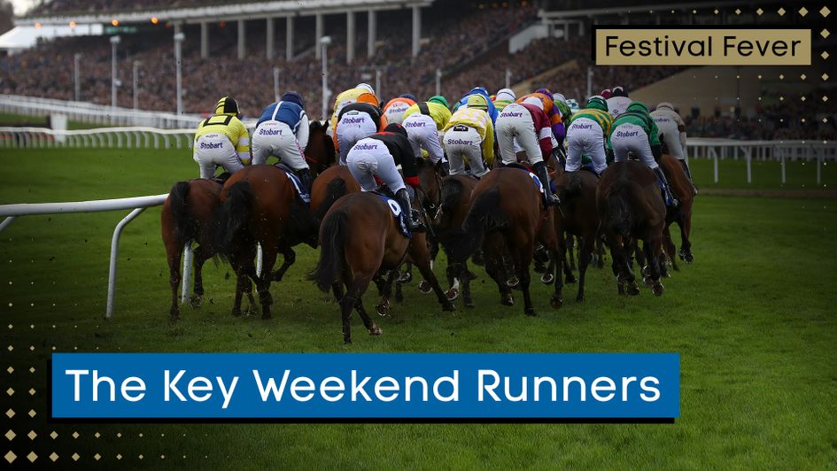 Who are this weekend's key runners with Cheltenham in mind?