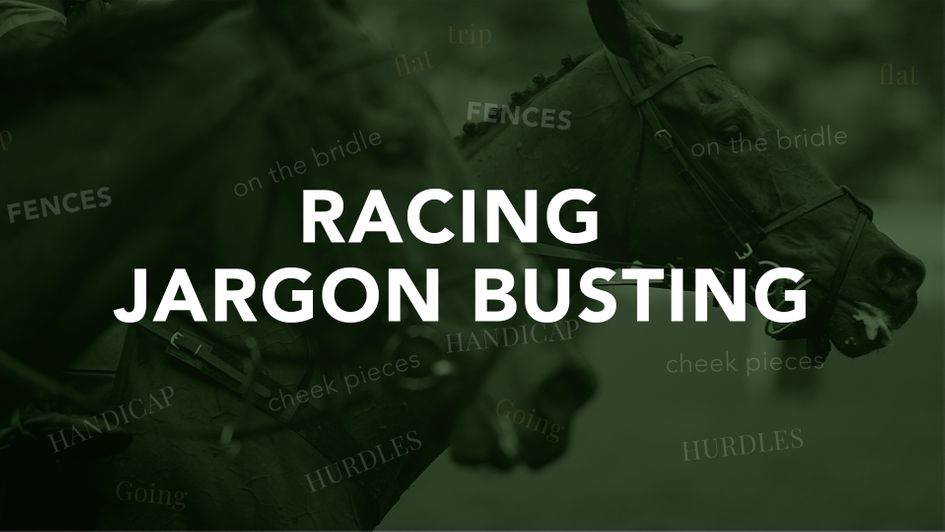 Understand a racecard, different race types and handicaps with our racing beginners guide