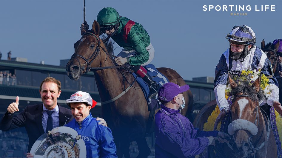 Can Tarnawa or Glass Slippers go back-to-back at the Breeders' Cup?