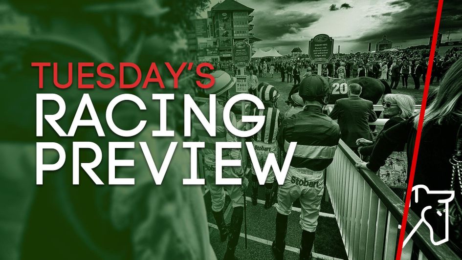 Check out our best bets for Tuesday
