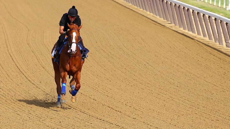 Justify is put through his paces prior to the Belmont Stakes