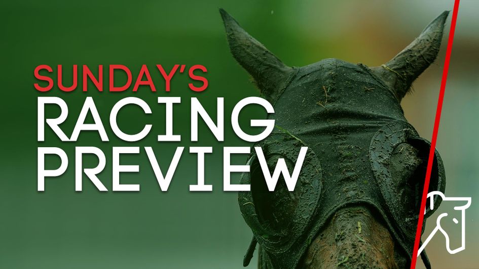 Check out our race-by-race tips and preview for Sunday's action