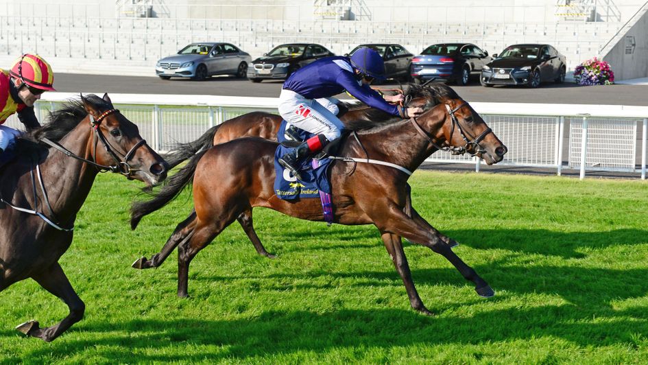 Shark Two One wins narrowly under Colin Keane at Leopardstown