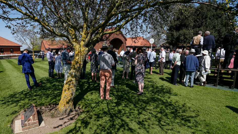 Punters search for shade on a scorching day at Newmarket