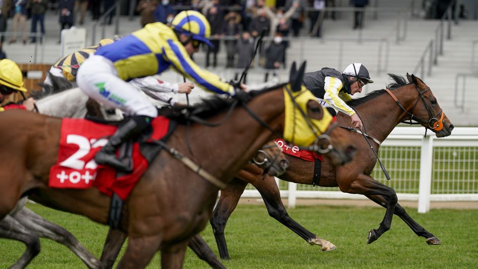 River Nymph edges home in the Victoria Cup